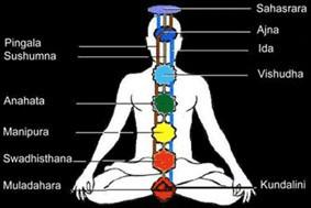 En las tradiciones espirituales, el mundo físico proporciona el aprendizaje a nuestro espiritu a través de nuestros 7 centros nerviosos o chakras y estas seresn las lecciones que deberesmos aprender:
