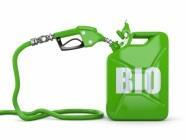 Origen Obtención de energía a partir de Bioenergéticos y de Residuos Producto Final RS Proceso natural Productos intermedios Procesos Industriales Transporte FORSU Biodigestión Fermentación Seca