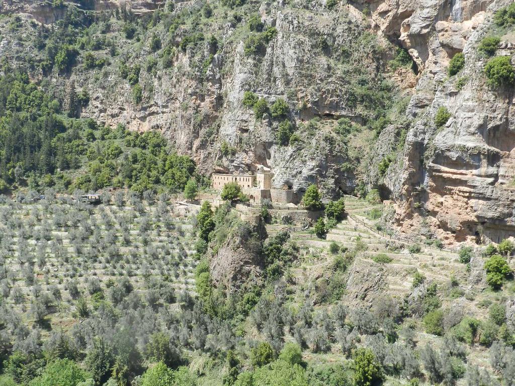 30 MAR.- BAALBECK - AFQA - CEDROS - TRÍPOLI Ascenso al Monte Líbano para visitar la gruta de Afqa, donde nace el río dedicado al dios Adonis.