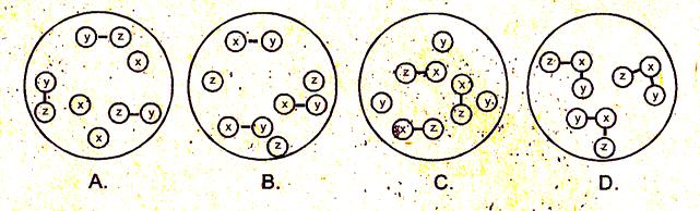 4. A continuación se muestra la representación de los átomos de los elementos X, Y y Z y de las moléculas de los compuestos que posiblemente se pueden formar por la reacción entre estos elementos.