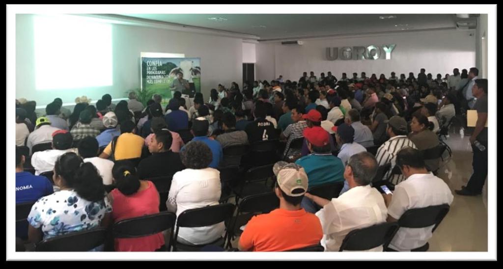 Al evento asistieron 342 participantes entre ganaderos, profesionales, investigadores, técnicos y estudiantes del área pecuária.