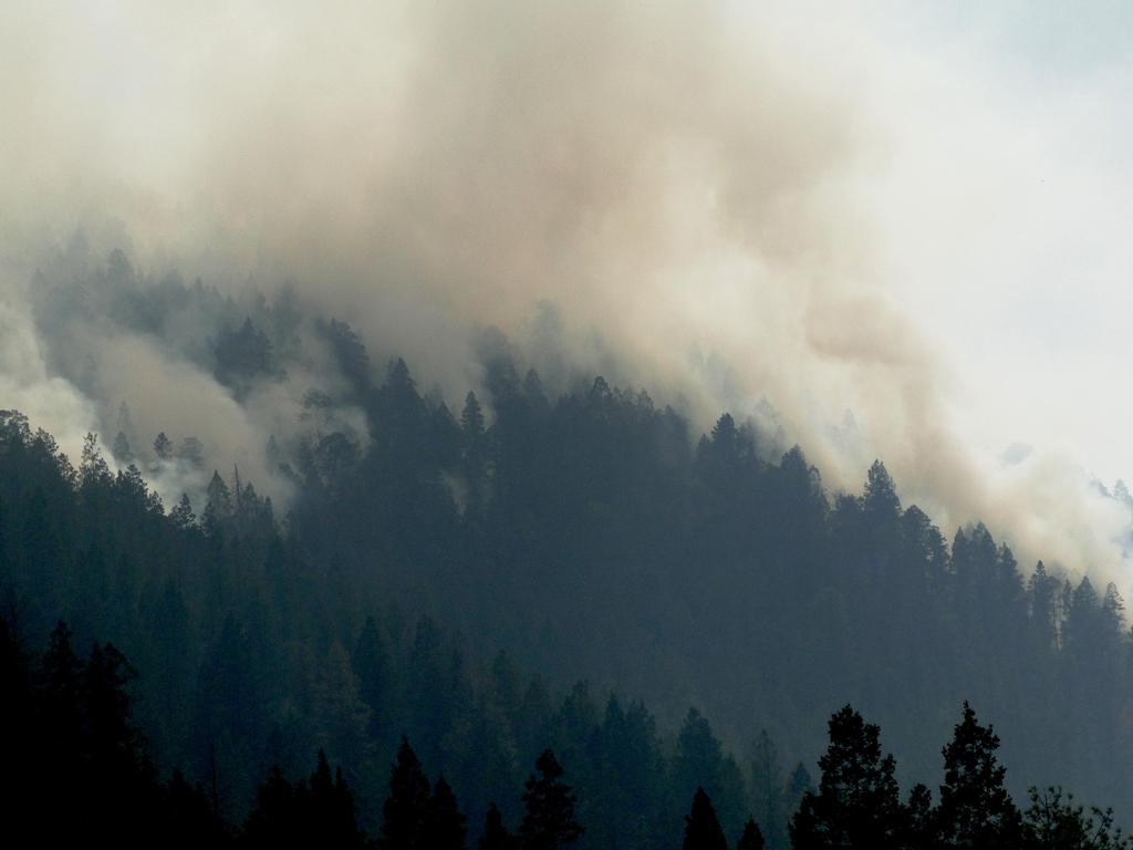 Atención de un incendio forestal en los parajes La Sierra de la Martha entre La Ciruela y Santa