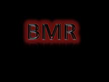 Disponer de un protocolo actualizado de limpieza diaria y terminal de las habitaciones ocupadas por pacientes con BMR. 8.