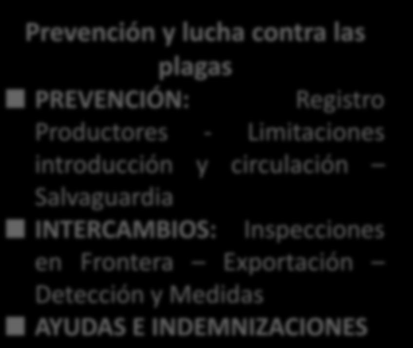 Sanidad Vegetal en España LEY 43/2002, DE SANIDAD VEGETAL Prevención y lucha contra las plagas PREVENCIÓN: Registro