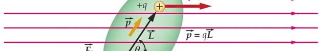 Efecto de un campo eléctrico sobre un dipolo eléctrico Campo eléctrico uniforme: Aparece un par de fuerzas: p E No hay fuerza neta sobre el dipolo Un dipolo eléctrico tiende