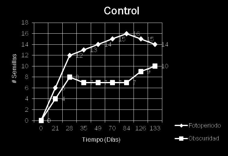 Gráfica 2. Comparación del número de semillas germinadas ex vitro en el lote Control bajo condiciones de fotoperiodo y oscuridad.