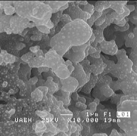 Micrografía de la molienda a 7 horas del óxido de lantano y óxido de manganeso (La 2 O 3 +Mn 2 O 3 ), es decir LaMnO 3. Figura 9.