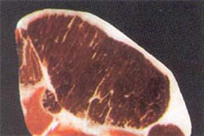 Carne pálida (PSD - defectuosa) Carne oscura (DFD - defectuosa) Consecuencias favorables de un Manejo correcto en la fase de carga Un manejo correcto va a proporcionar un menor grado de estrés a los