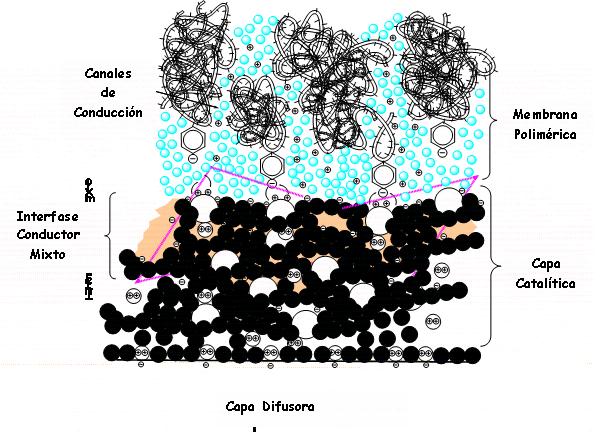 Pilas PEMFC - Caucho: Funcionamiento microestructural Platino Carbono Hidrógeno, H 2 H 2 O