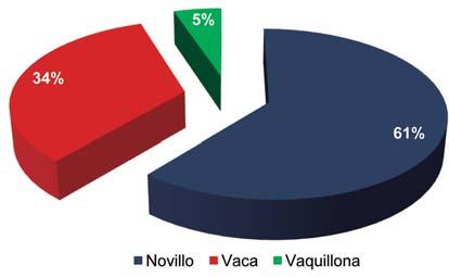 3º Auditoría de calidad de la cadena cárnica vacuna del Uruguay - 2013 INIA Cuadro 7.Estaciones de trabajo, ubicación en planta e intensidad de muestreo.