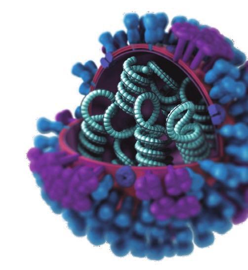 Posteriormente el virus fue capaz de recombinar su genoma con el de virus