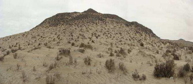 La formación presenta una cobertura vegetal que alcanza hasta 50 %; coloniza las dunas móviles, por lo que los arbustos están frecuentemente parcialmente cubiertos por arena.