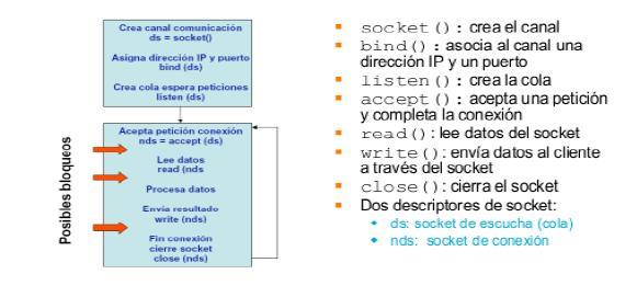 printf("uso: %s nombre_host\n",argv[0]); exit(1); sock= socket (PF_INET, SOCK_STREAM,0); if(sock < 0) perror("no se ha podido conseguir un socket :("); exit(1); server.