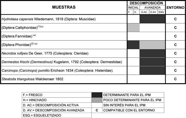 A.M. García-Rojo et al. Tabla 1: Especimenes de interés forense y cronología de aparición. (1) Escaso número de ejemplares debido al difícil acceso al recurso.