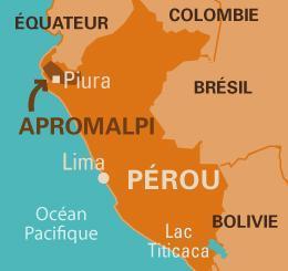 Grupos productores APROMALPI (Perú) Fundación: 10 de Octubre de 1996 Certificación FLO: 2003 Localización: Distrito de Chulucanas Estructura: Asociación de productores Productores: 170 productores y