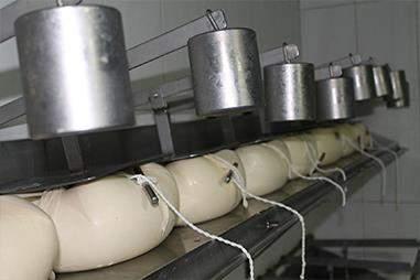 EVALUACIÓN DE RESIDUOS BIODEGRADABLES EN LA ISLA DE MENORCA. generador de biogás y fertilizantes orgánicos. Página 131 de 430 d) Residuos del queso. Tabla. Residuos subproductos del queso.