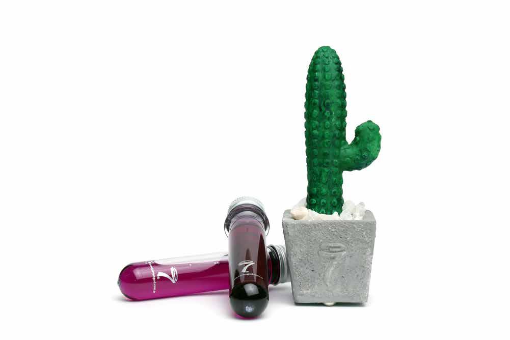 COD: CAC Consiste en una maceta de cemento, un cactus tallado en piedra aromática, cuarzo energético, incluye 2 RU+.