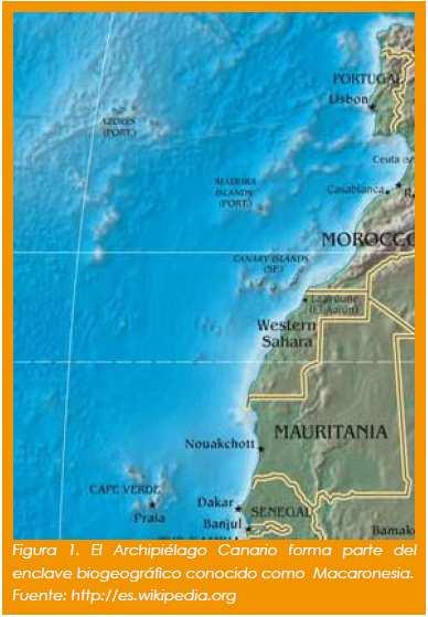 Las islas más desarrolladas del conjunto macaronésico son las Islas Canarias, lo que ocasiona situaciones desfavorables para la conservación del medio ambiente.