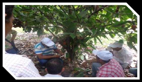 2. Financiamiento de Capacitación Zona 5 y 8 : Provincia de Los Ríos Programa: Sector agrícola de la ruta del cacao mediante la implementación de competencias