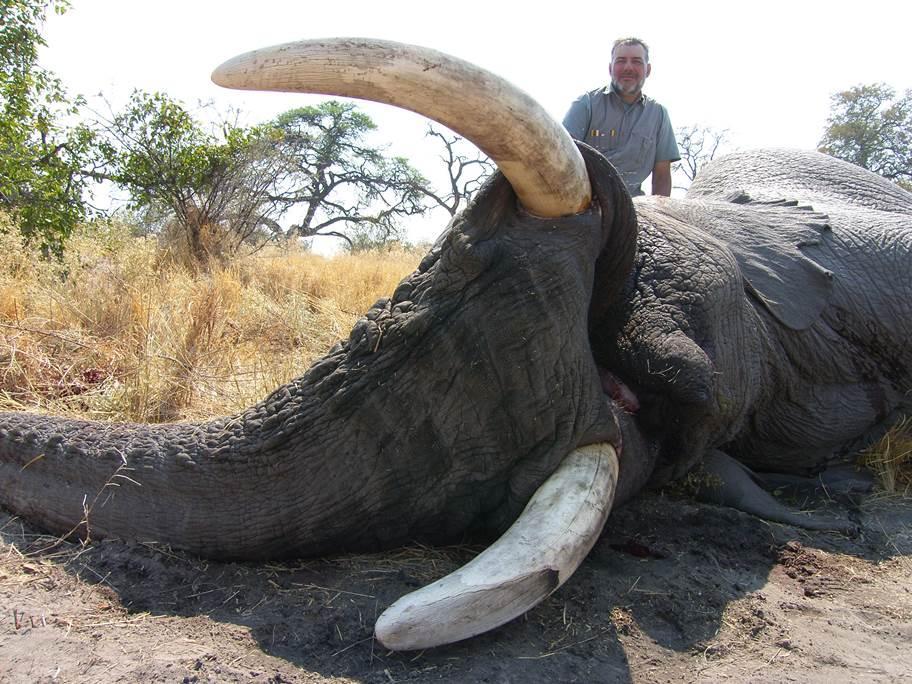 MI OPINIÓN: Por el conocimiento que tengo de la zona, a mi parecer es la Última Frontera para cazar elefantes, después delcierre de Botswana, y la prohibición de entrada en la Comunidad Europea de