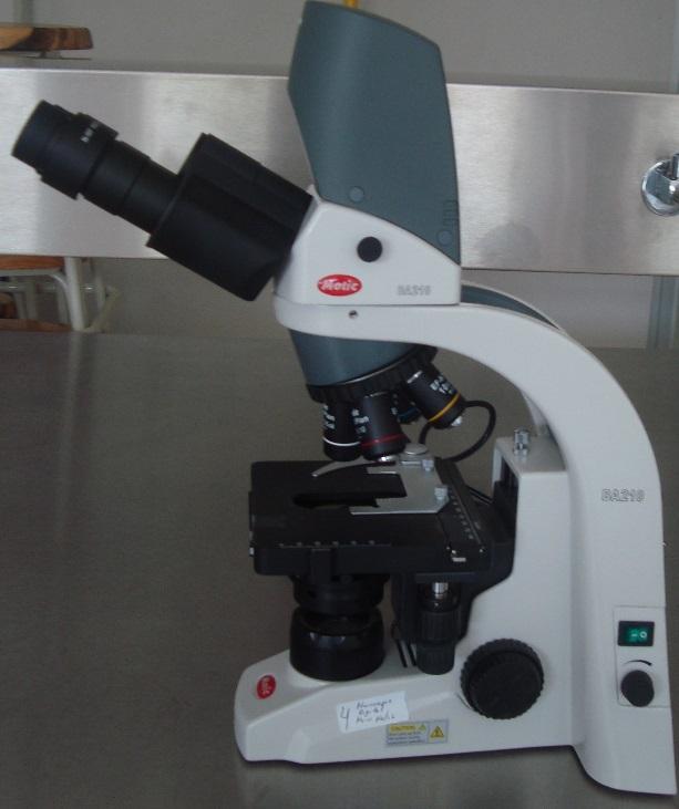 Microscopio óptico Cantidad en existencia: 1 Ø Manejo y uso de Microscopios. Ø Identificación de Gram postivas y Negativas. Ø Identificación de estructuras parasitarias.