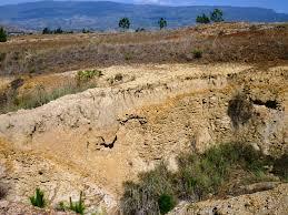 Colombia no es ajena a la desertificación De acuerdo con estudios realizados por el ideam (2013), cerca del 24% de las tierras en Colombia, son susceptibles a la