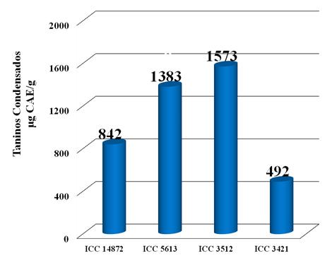 El cultivar Café-ICC3512 tuvo el mayor CTC [1,573 μg CAE/g muestra (bs)], mientras que en Crema-ICC3421 se observó el menor valor en CTC [492 μg CAE/g muestra (bs)].
