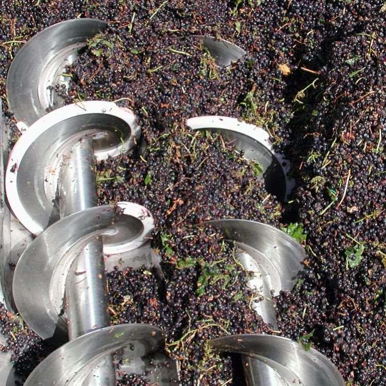 Para ello se usan estrujadoras, que rompen los hollejos o piel de la uva para que esta suelte poco a poco el zumo de uva o mosto.