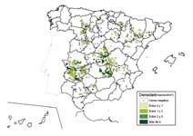 Situación de la especie Las densidades de machos más elevadas se obtuvieron en las provincias de Ciudad Real y Toledo, con 3,3 y 3 machos/km 2 respectivamente.