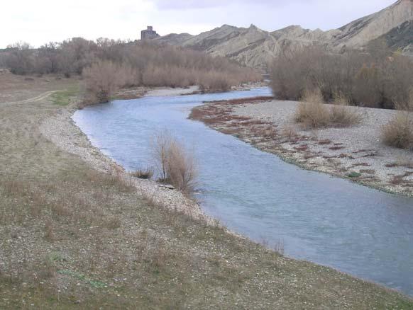 Tramo fluvial con importante proceso de incisión por efecto de una minicentral hidroeléctrica en el río Aragón en Caparroso.