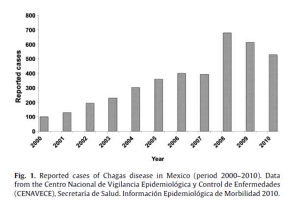 En Latino América 16-18 millones de personas infectadas