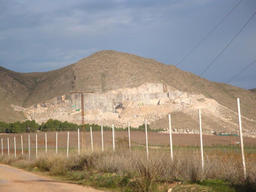PARADA 2. CANTERA DE CALIZAS DE LA SIERRA DE CABRAS, (término municipal de Jumilla, Comarca de Jumilla, Murcia). (Hoja 868).