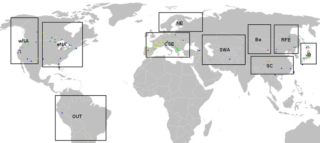 Océano Atlántico dividió linajes conectados en Laurasia.