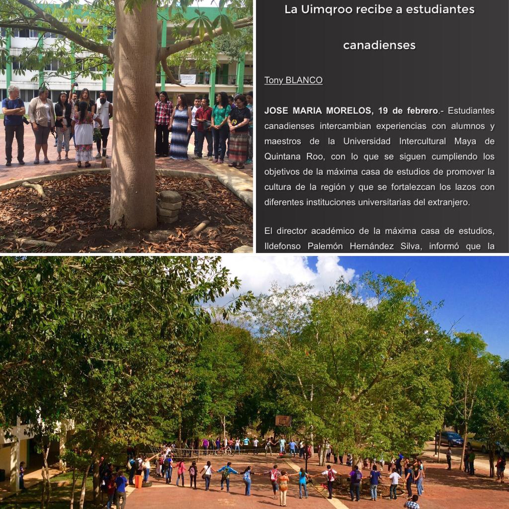 Universidad Intercultural Maya 5.