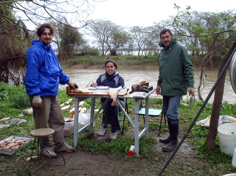 ProBiota, Serie Técnica y Didáctica 21(35) - 2014 10 De campaña con la Dirección de Pesca en la laguna La Cierva,