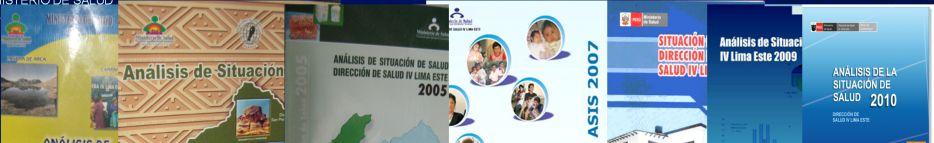 Logros: Elaboración de Análisis de Situación de Salud DISA IV LE 2003-2012