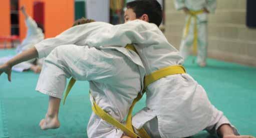 Àrea esportiva Judo Judo Esport individual en què preval el control del propi