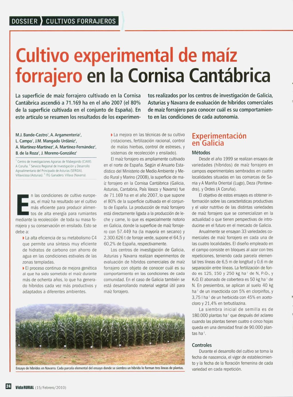 DOSSIER CULTIVOS FORRAJEROS Cultivo experimental de maíz forrajero en la Cornisa Cantábrica La superficie de maíz forrajero cultivado en la Cornisa Cantábrica ascendió a 71.