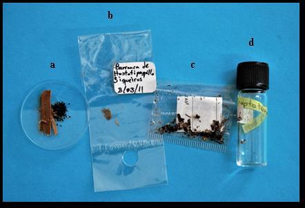 Entomología mexicana, 4: 610 615 (2017) Figura 1. Ejemplo de muestras almacenadas: (a) excretas, (b) muda, (c) restos de insectos e (d) insecto completo. (Foto: Hilario Granados).