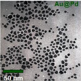 Frecuencia, % Frequency, % Figura 26. Imágen de TEM de la suspensión de nanopartículas de Au-Pd. 50 Dm = 7.9 1.