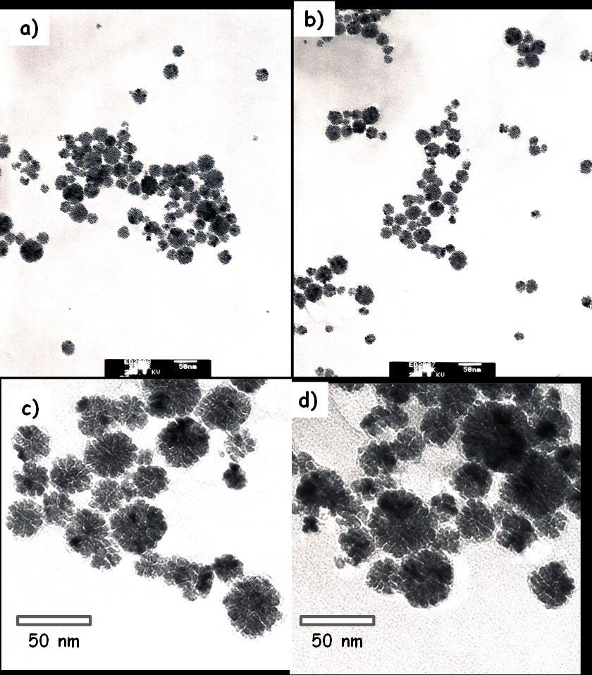 IV.2.2 Microscopia Electrónica de Transmisión Las imágenes del TEM de la suspensión de nanopartículas de Pd se muestran en la Figura 22. Donde podemos confirmar la formación de las nanopartículas.