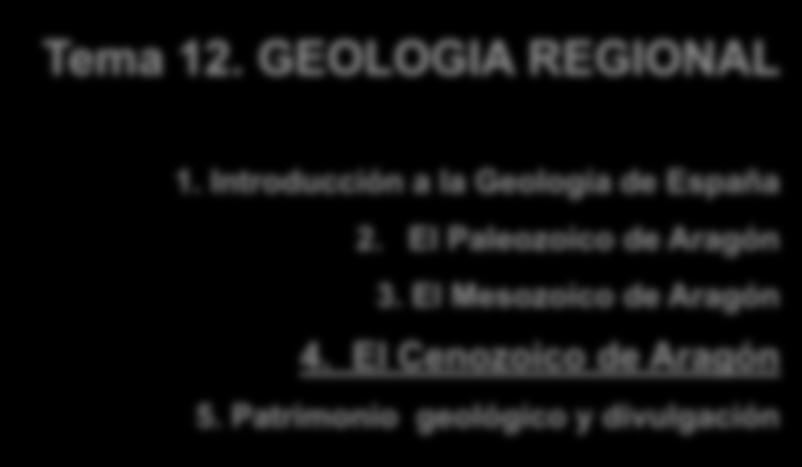 El Paleozoico de Aragón 3.