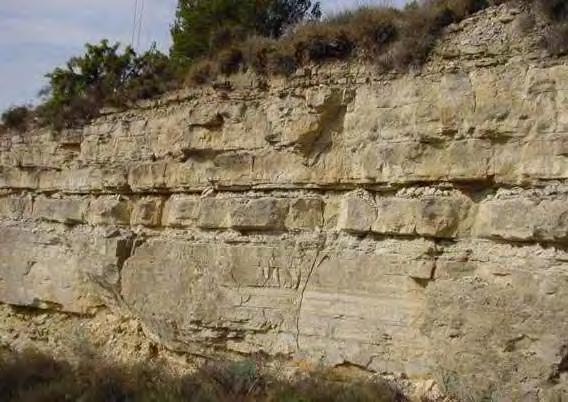 CUENCA DEL EBRO Oligoceno-Mioceno inferior, elevada actividad tectónica y subsidencia, aportes intensos de los