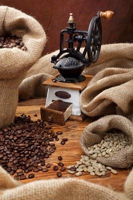 Exportación de Café por Especie Millones de Sacos 60 kg Años Cafet.(Oct-Set) 0708 a 1213 Arábicas Robustas 62.2 62.5 61.5 67.8 66.9 68.5 33.6 35.2 32.8 37.0 40.8 41.