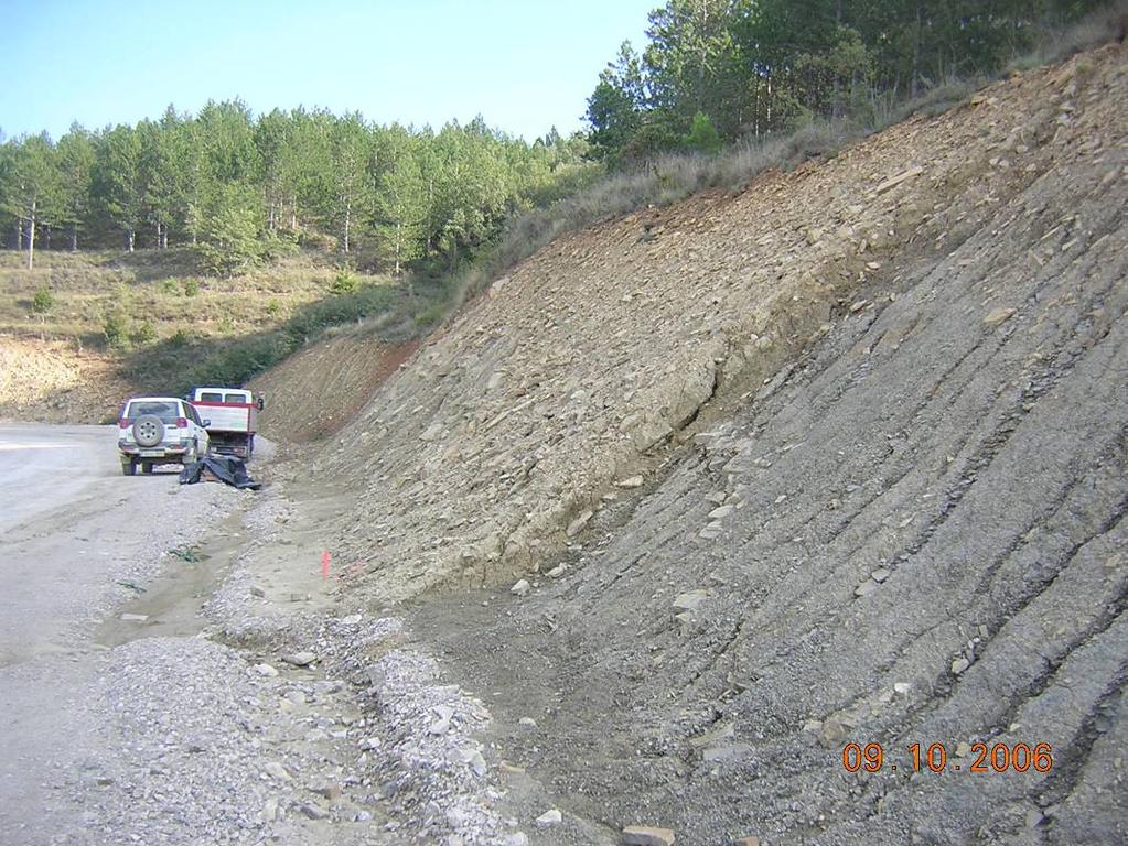 Foto 2: Vista del límite del deslizamiento en el P.K. 1+400 del camino.