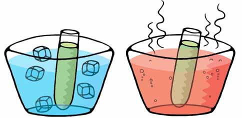 Ensayo 1: Los gases y el calor Sumerjan la botella en el bol con agua y hielo que usaron en la experiencia anterior. Qué sucede con el globo?