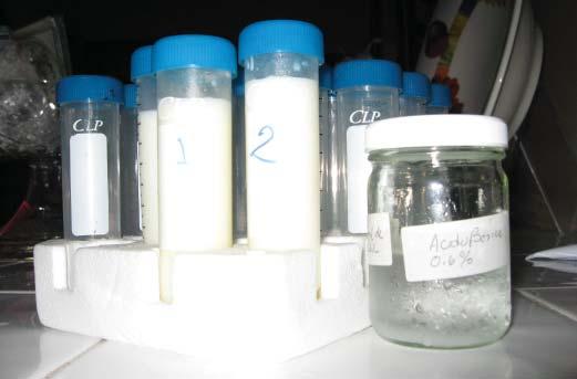 PROCEDIMIENTO RECOMENDADO PARA LA TOMA DE MUESTRAS Toma antiséptica de muestras de leche Para hacer un examen bacteriológico, es indispensable la toma antiséptica de muestras bajo condiciones