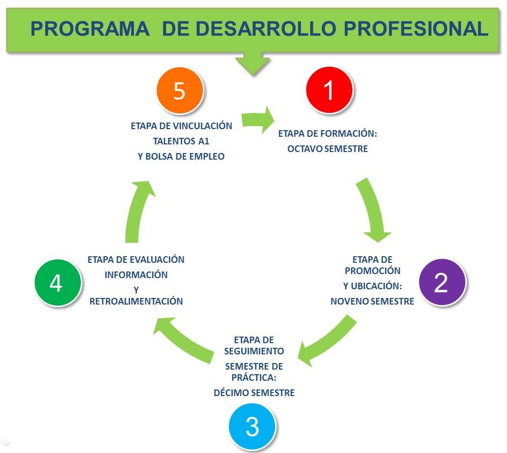 9.3.2 Centro de Desarrollo Profesional - CEDEP Directora: María Isabel Velasco www.icesi.edu.co/cedep Gráfico 9.1 Programa de Desarrollo Profesional PDP Qué es el CEDEP?