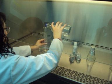 Autor: Mónica Alejandra Jarrín Cerda Objetivos Realizar pruebas de sensibilidad in vitro de fungicidas químicos y orgánicos con tres