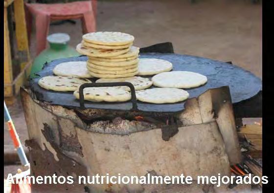 Experiencias de SAN Local en municipios de la Región Alimentos